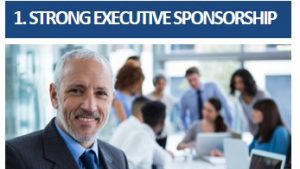executive sponsorship